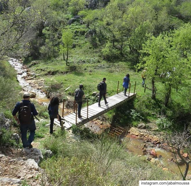 Qornet el Deir trail is a path not to be missed (Suitable for families). ... (Jabal Moussa Biosphere Reserve)