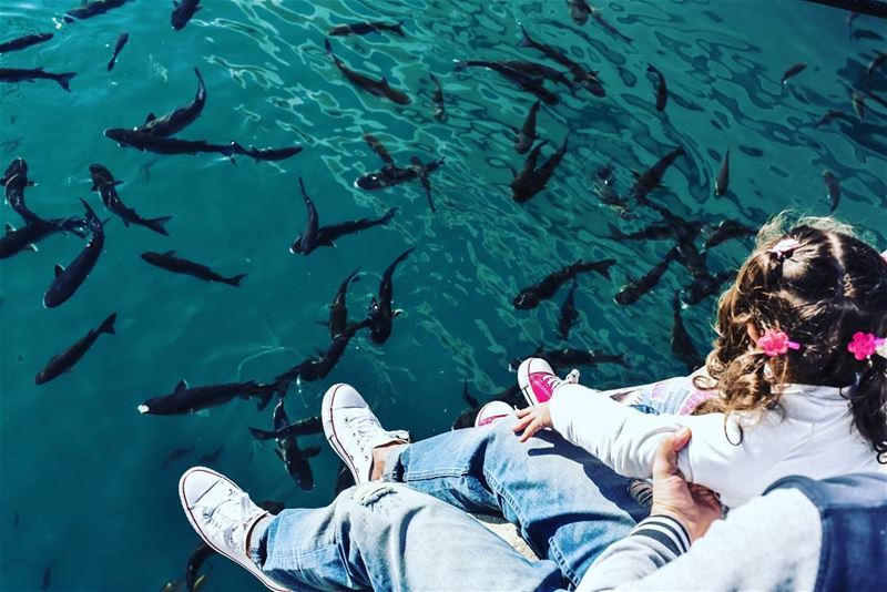 Quality time ... lebanon  zaytounabay  fish  livelovelebanon ... (Zaytounay Bey)