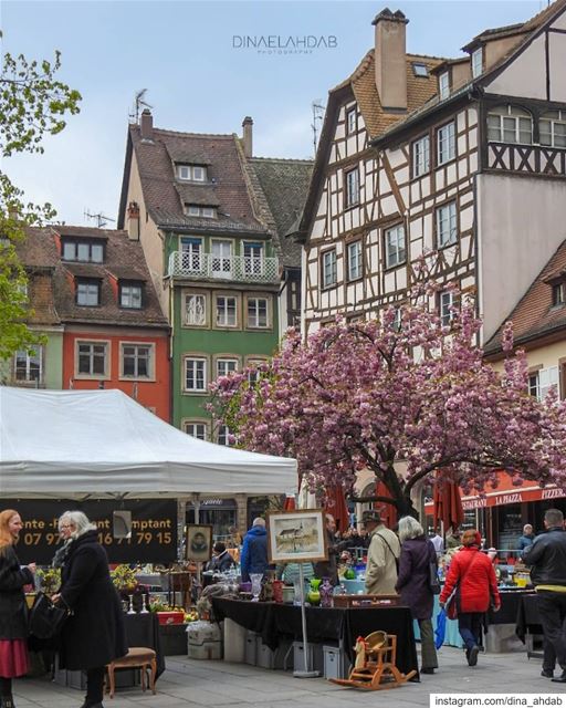 Quand les saisons se croisent, et puis restent ensemble.... (Strasbourg, France)