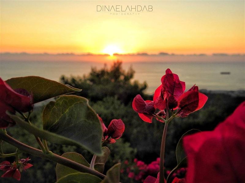 Question d'une perspective ! 💮____ 961lens  sunset  sunsetlovers ... (Byblos, Lebanon)