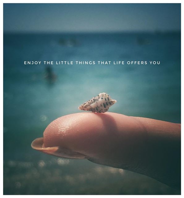  quoteoftheday  inspiration  seashells  sunday  beach  lookwhatifound ...