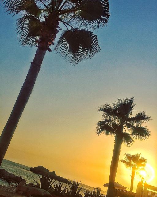Ra 🌞 shesonlyhappyinthesun ...