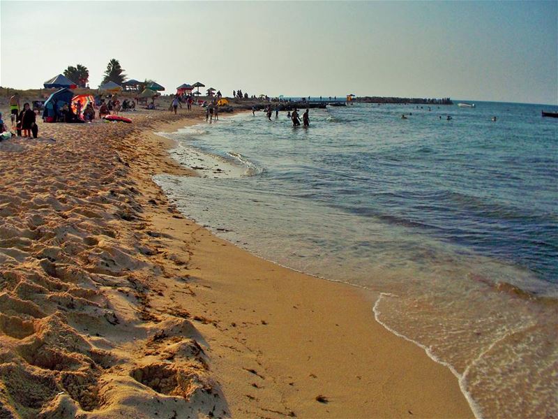 Rabbits Island LiveLoveTripoli  LiveLoveElMina   TripoliLB  Tripoli ... (Palm Islands- El Mina Lebanon)