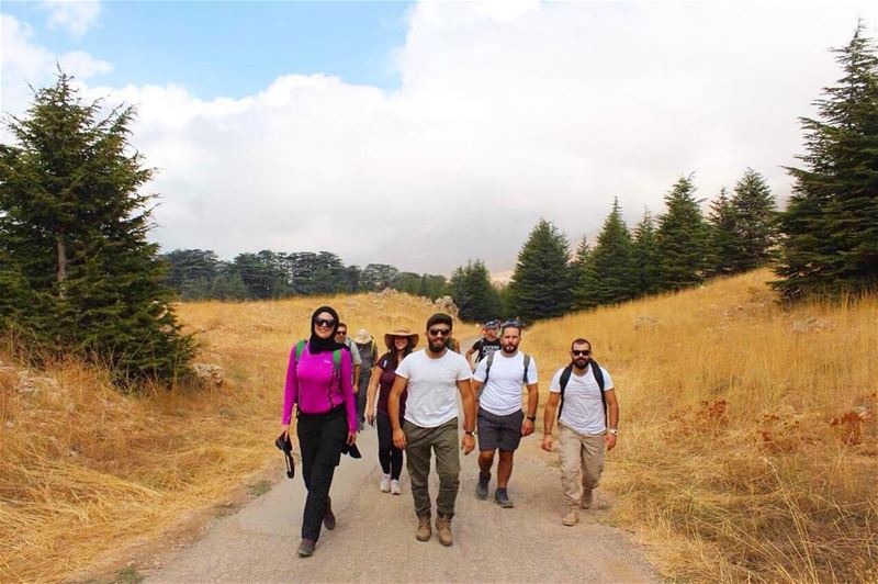 Radiate Positive Vibes ✅🕶🌲🌲🌞 positivevibes  positivity ... (Becharri, Liban-Nord, Lebanon)