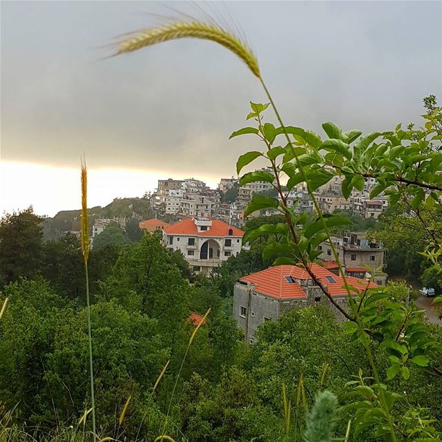 Rain will wash it all....  ig_lebanon  insta_lebanon  insta_jezzine ... (Aley)