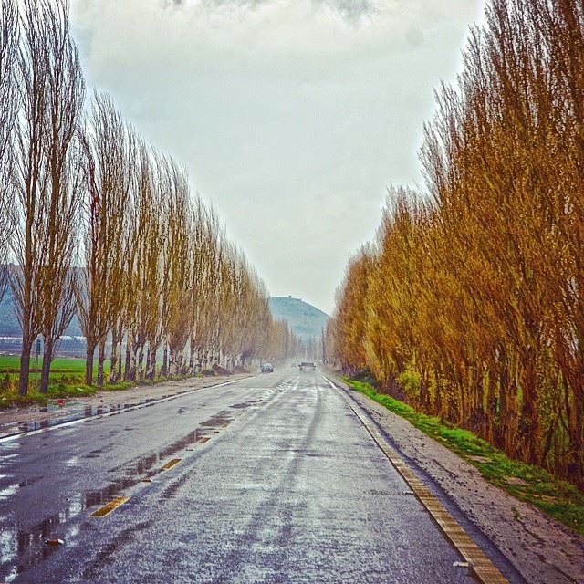 Rainy day in Bekaa.. todayCamera : nikon d3200Location : bekaa, Lebanon...