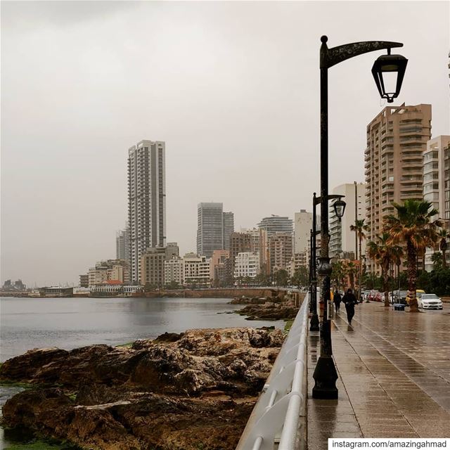 Rainy day walks with Baba 😊 (Manara Beyrouth)