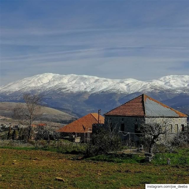 ~Raised by the snowy mountain~ (Marjayoûn, Al Janub, Lebanon)