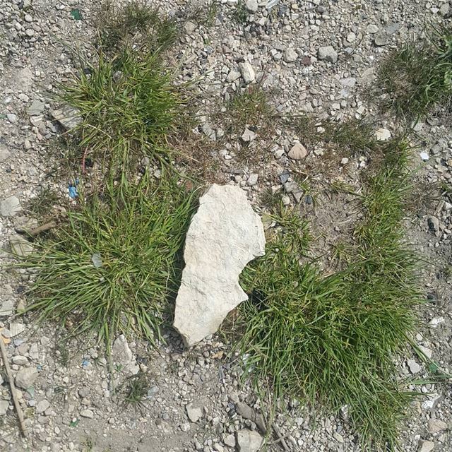 Random rock on a random hike rock  map  lebanon  hiking ...