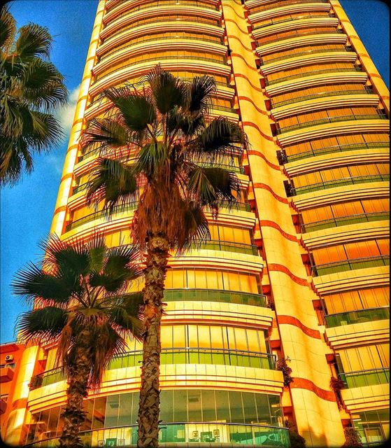  raouché  beirut  lebanon  city  building  palmtrees  glassandsteel ... (Raouché. Beyrouth)