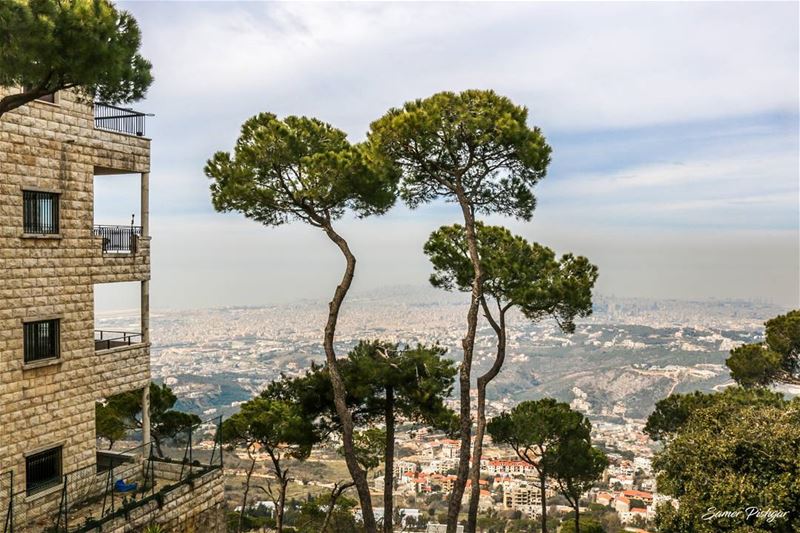 Ras El Jabal - Mountain to sea. Lebanon ... trees  mountains ...