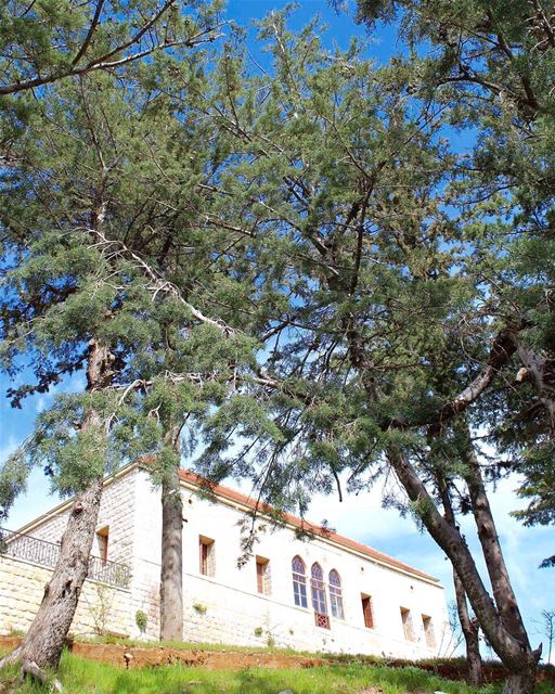  rashya  castle historicalplace  lebanonhistory  mountaintop ... (Rachaya Castel)