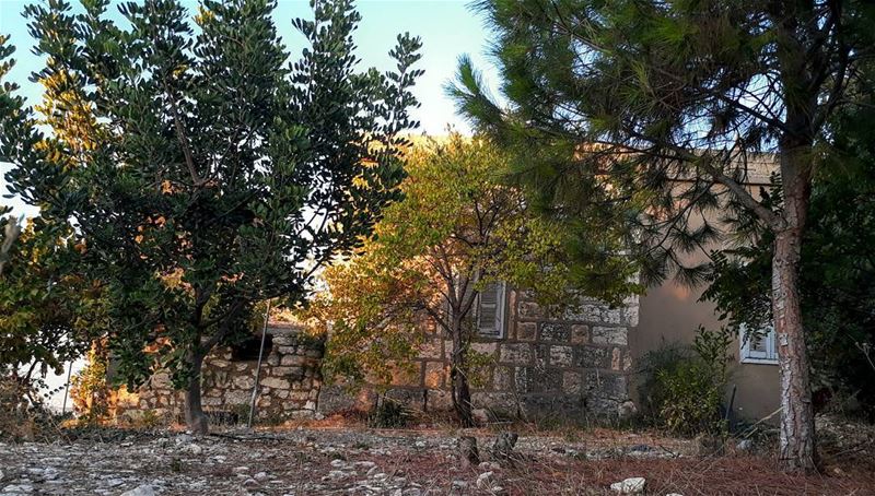  rasnhash  batroun  lebanon  kalawounphoto  lebanonhouses  livelovebatroun... (Lebanon)