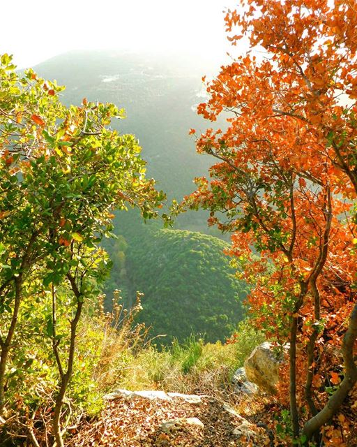  rasnhash  batroun  lebanon  kalawounphoto  monbeauliban  thebestinlebanon... (Ra'S Nhash, Liban-Nord, Lebanon)