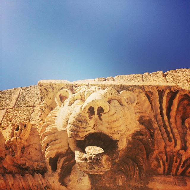 Rawwr 🦁  Baalbek  ruins  gargoyles ...