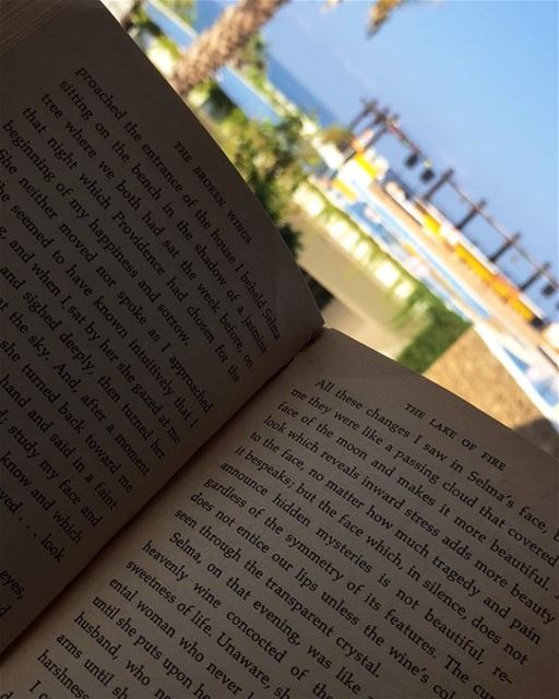 Reading, a vacation for the... (Pangea Beach Resort)