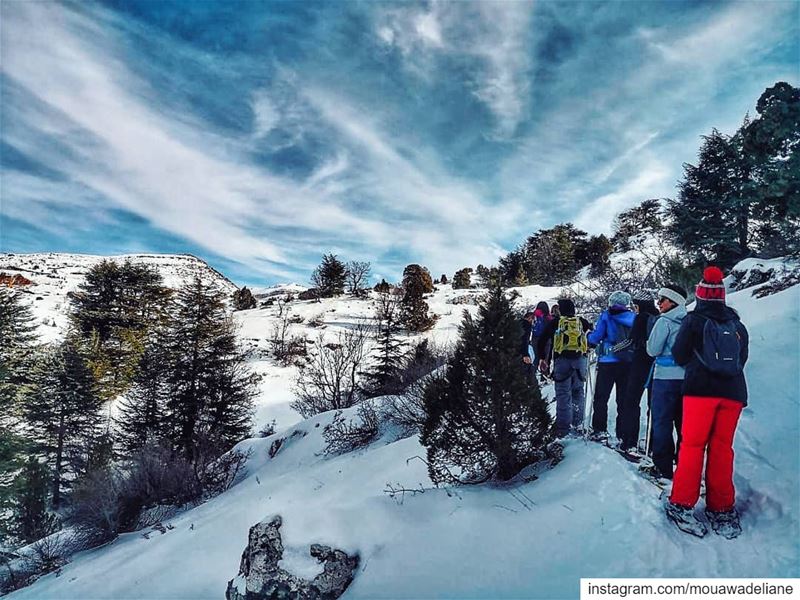 Ready for our next  snowshoeing adventure ⛸ cantwait❄ breaktheroutine ... (Arz Tannoûrîne)