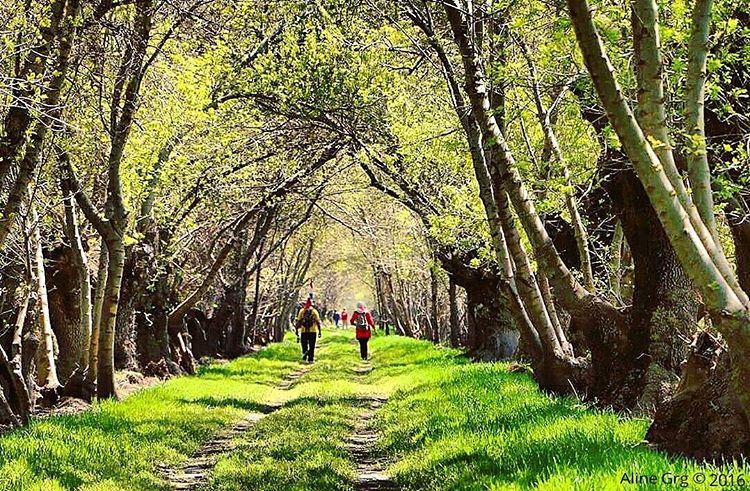 Ready, Set, Hike 🎿! Are you prepared?!  sundaymorning  today  hiking ... (`Ammiq, Béqaa, Lebanon)