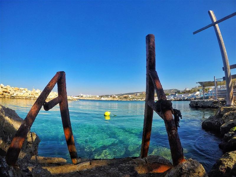 Ready to jump 😎  mondaymood  swimming  coldwater  winterdays  sunnyday ...