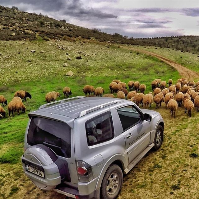 Real fun begins when paved road ends.... LebanonTimes  ig_lebanon ...