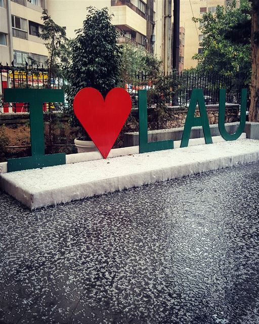 REAL ice for the warm hearts..❄❤❄This is February in Beirut!!... (LAU)