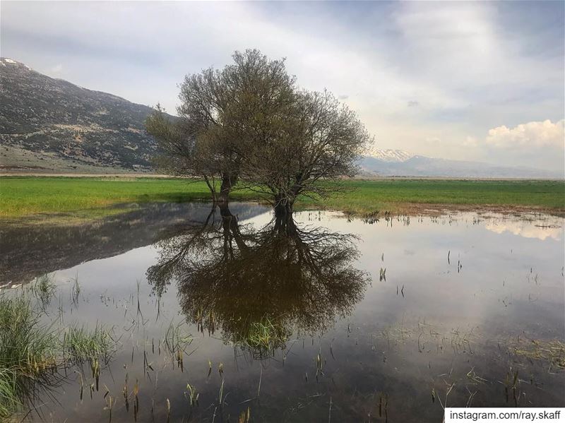 Reality check‼️................ lebanon  nature ... (Galaxy Outside School Hours)