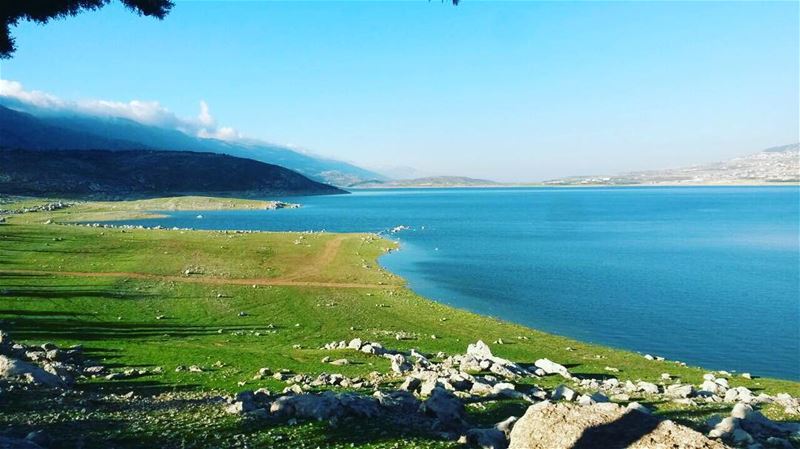  realview  springtime lebanese_nature  بحيرة_القرعون  naturephotography ... (Qaraaoun, Béqaa, Lebanon)