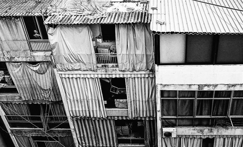 Rear... (Beirut, Lebanon)