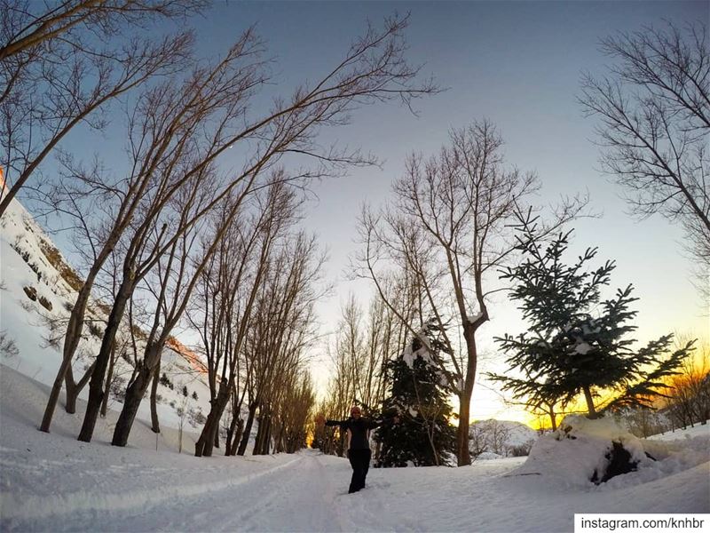 Reason to love  winter  snow  lebanon  livelovelebanon  lebanonoutdoor ...