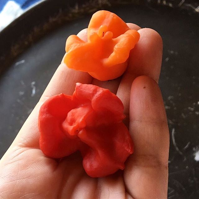 Red and orange Bell Peppers 🌶  fresh food eat yummy nomnom foodie... (Beirut, Lebanon)