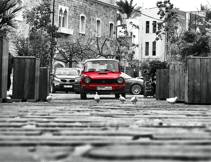 Red is the ultimate cure for saddness 💞 car  red  redcar  pigeon ... (Byblos, Lebanon)