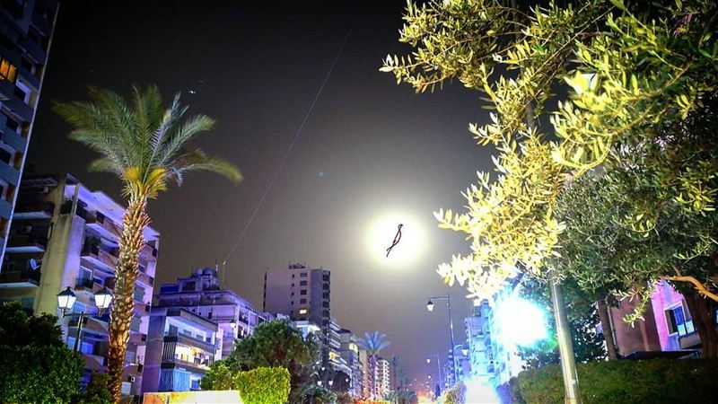  rednightss  moon  night  nightphotography  palm  tripoli  lebanon ... (Tripoli, Lebanon)