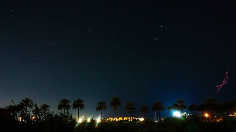  rednightss  tripoli  lebanon  livelovetripoli ... (Maarad Rachid Karameh)