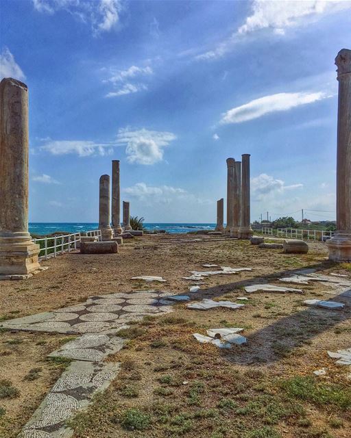 Redundancy of Life.....  nature historicalcity  neverstopexploring... (Tyre, Lebanon)