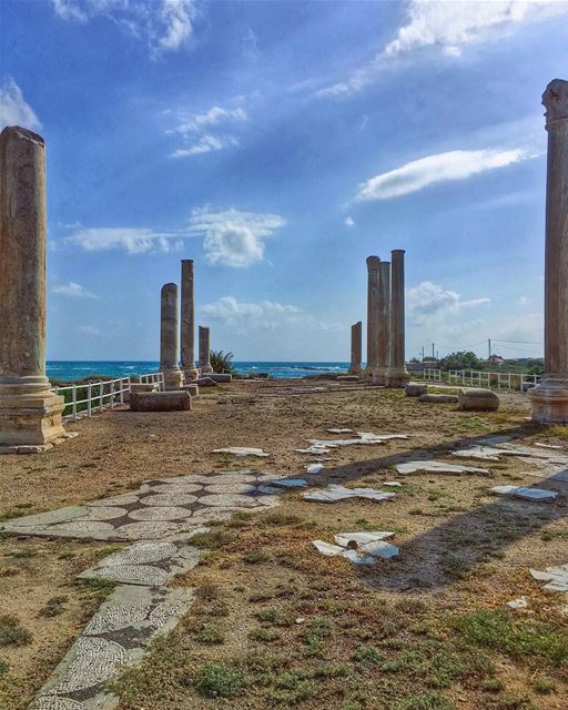 Redundancy of Life.....  nature historicalcity  neverstopexploring... (Tyre, Lebanon)