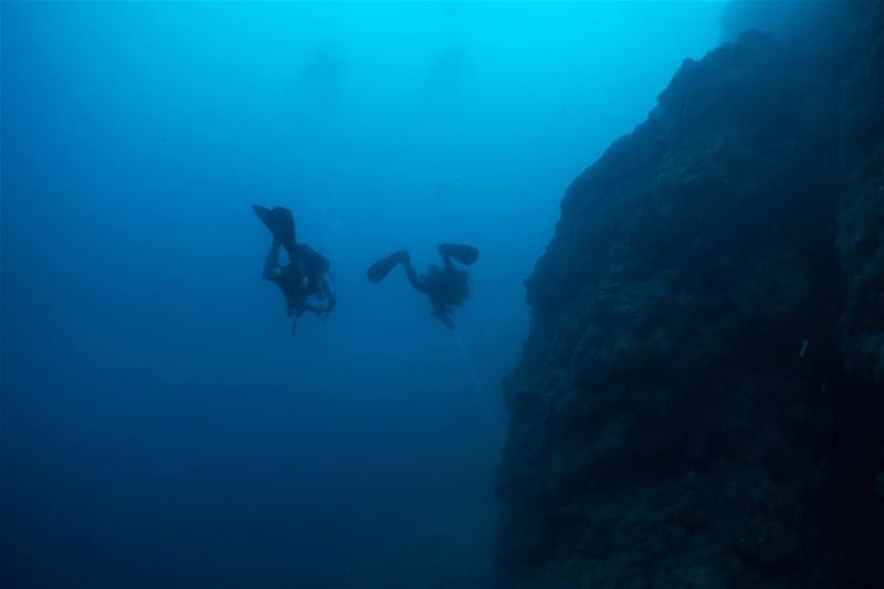 Reef & fins... from the buttom of the AUB Wall...  beirut  lebanon  diving...