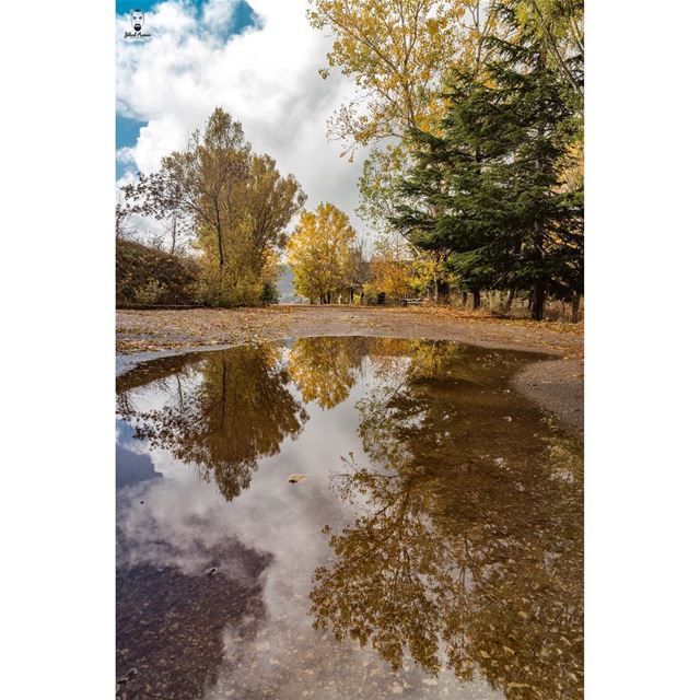 Reflection! MY WAY!!!!... (El Laqloûq, Mont-Liban, Lebanon)