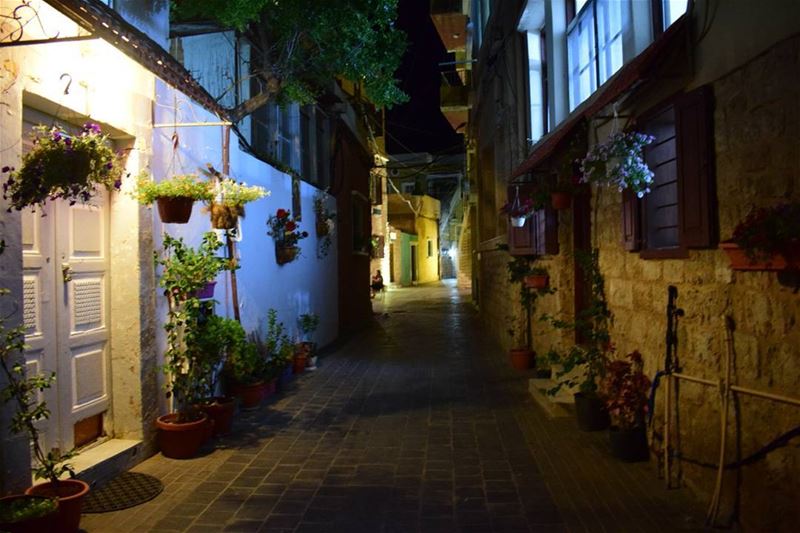  reflection  photoftheday  photoshooting  picture  picoftheday  night ... (Soûr, Al Janub, Lebanon)
