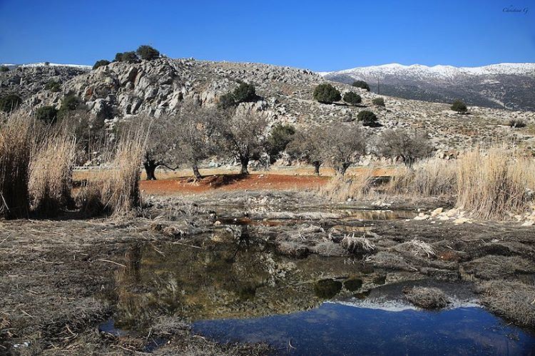 Reflections  a7labaladbil3alam  photo  love  photography  camera  me ... (`Ammiq, Béqaa, Lebanon)