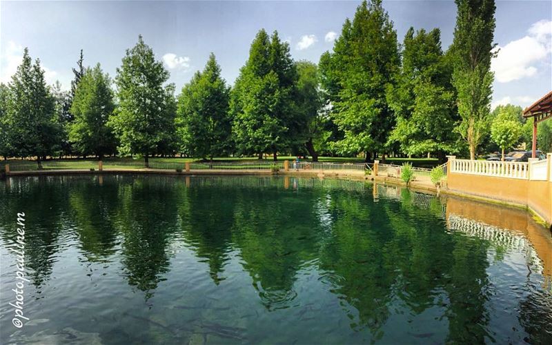 Reflections 🌲|🌲. follow  follow4follow  like4like  like ... (Restaurant Razmig)