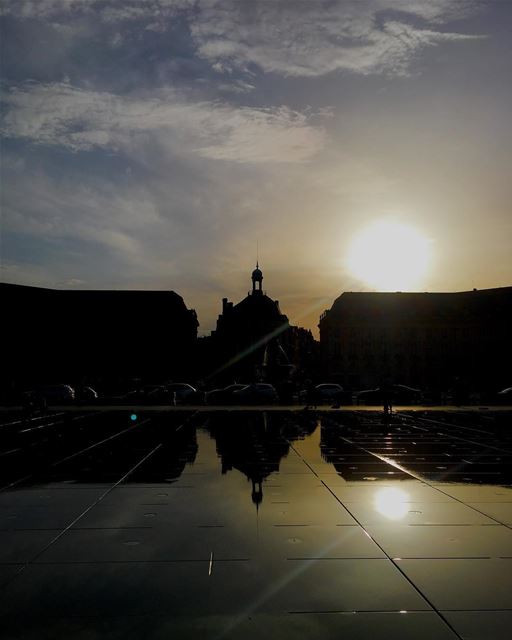  Reflections of  Bourgeoisie ______________________________________... (Miroir d'eau)