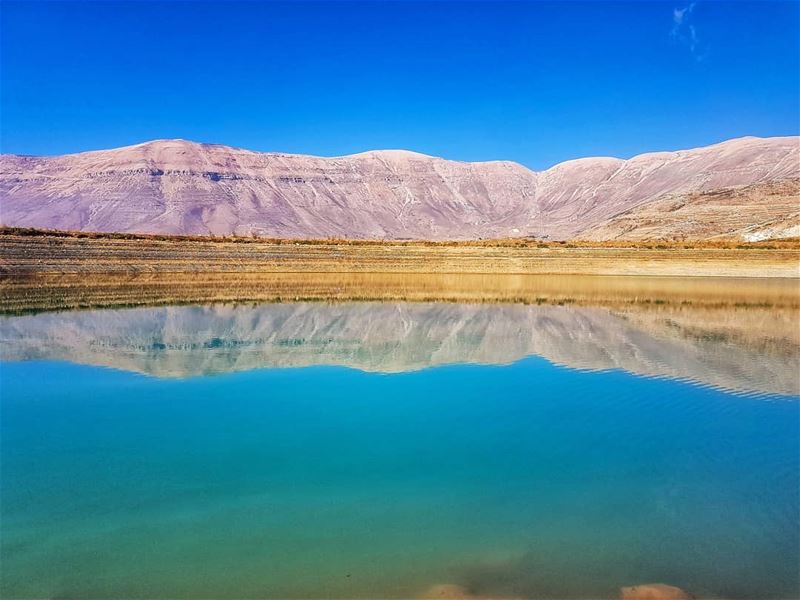 Reflections  reflection  mountain  lake  livelovebeirut  ig_lebanon ... (Bekaa Kafra)