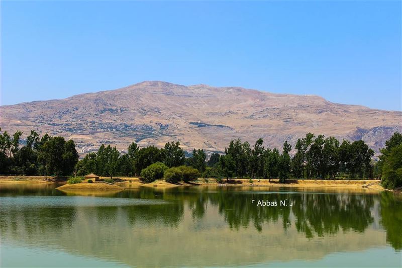 Reflections ↕️ snoitcelfeR... visualsoflife  @visualsoflife ... (Deïr Taanâyel, Béqaa, Lebanon)