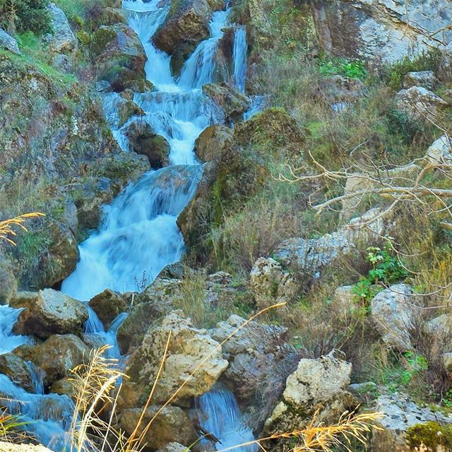 Refreshing....  LiveLoveAkkar  LiveLoveWaterfalls  Waterfall  ... (`Akkar Al `Atiqah, Liban-Nord, Lebanon)