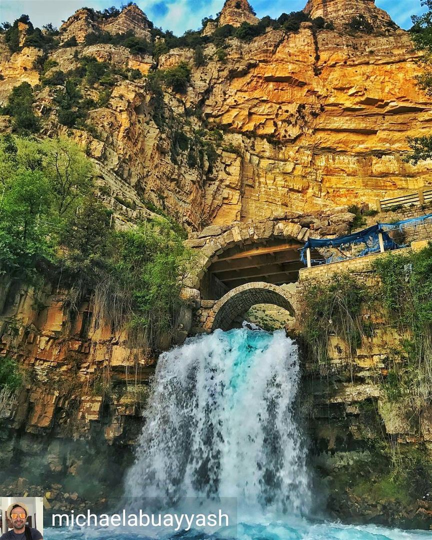 @Regrann from @michaelabuayyash -  Afka waterfalls  nature  lebanon ...