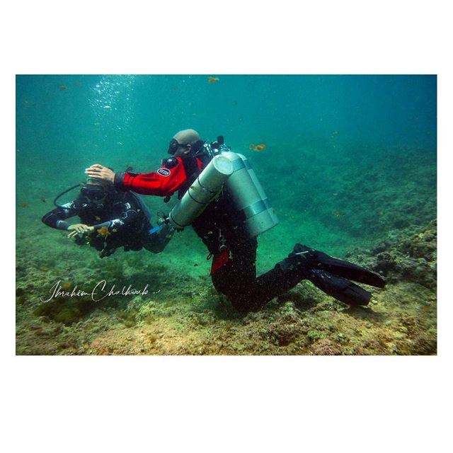 Relationships sometimes start underwater -  ichalhoub in  Batroun north ...