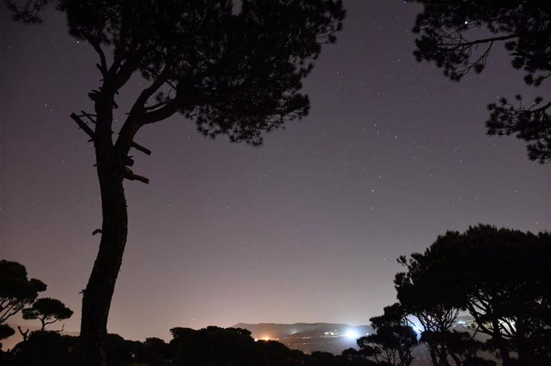 Relax, breathe, let go and just live. Photo taken by @christoo00 ... (Baskinta, Lebanon)