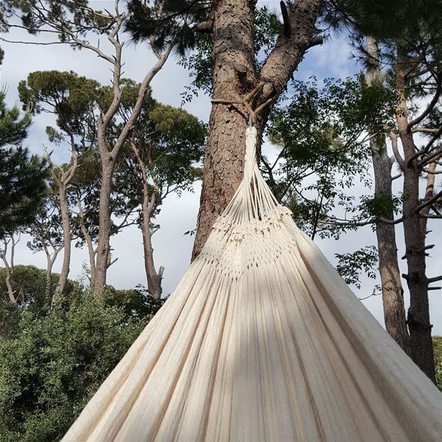 Relaxing  hammok  swing  rest  relax  village  pinetrees  pine  sky ... (El Qalaa, Mont-Liban, Lebanon)