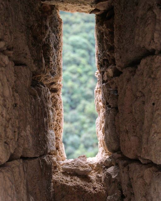 Remember the little things in life, for one day you may look back and... (Mseilha Fort)