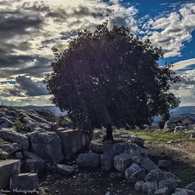 Remember; The time you feel lonely is the time you most need to be by... (Aïn Aakrîne, Liban-Nord, Lebanon)